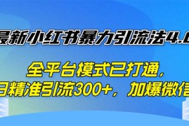 简单项目（12505期）最新小红书暴力引流法4.0，全平台模式已打通，日精准引流300+，加爆微&#8230;09-07中创网