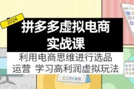 拼多多虚拟电商实战课，选品+运营，高利润虚拟玩法对比抖音号运营