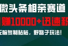 2024最新微头条相亲赛道，迅速积累，无脑复制粘贴，野路子玩法，月入1w12-09冒泡网