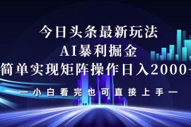 创业项目（12610期）今日头条最新掘金玩法，轻松矩阵日入2000+09-15中创网