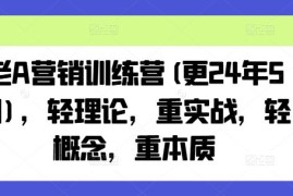 赚钱项目老A营销训练营(更24年7月)，轻理论，重实战，轻概念，重本质便宜08月01日冒泡网VIP项目