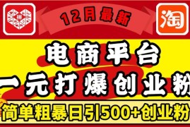 创业项目12月最新：电商平台1元打爆创业粉，简单粗暴日引500+精准创业粉，轻松月入过W【揭秘】12-13冒泡网