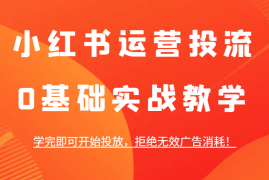 热门项目小红书运营投流，0基础实战教学，学完即可开始投放，拒绝无效广告消耗！12-14福缘网