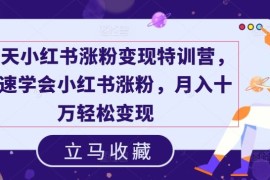 简单项目19天小红书涨粉变现特训营，快速学会小红书涨粉，月入十万轻松变现便宜07月24日冒泡网VIP项目