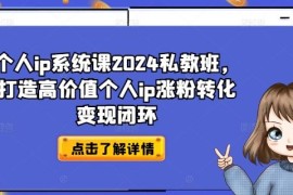 每日个人ip系统课2024私教班，打造高价值个人ip涨粉转化变现闭环便宜08月07日冒泡网VIP项目