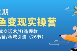 最新项目（11305期）闲鱼变现实操训练营第2期：选品/成交话术/打造爆款/精细运营/私域引流，06月28日中创网VIP项目