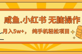 每天（13488期）年前暴利项目，7天赚了2.6万，咸鱼,小红书无脑操作11-27中创网