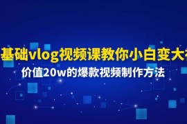 热门项目0基础vlog视频课教你小白变大神：价值20w的爆款视频制作方法便宜07月09日福缘网VIP项目