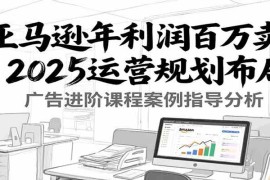 亚马逊年利润百万卖家2025运营规划布局，广告进阶课程案例指导分析