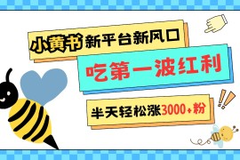 赚钱项目小黄书重磅来袭，新平台新风口，管理宽松，半天轻松涨3000粉，第一波红利等你来吃12-11福缘网