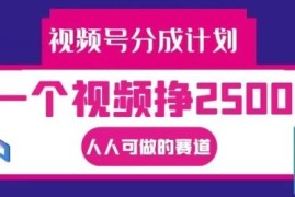 赚钱项目视频号分成计划，一个视频挣2500+，人人可做的赛道【揭秘】09-05冒泡网