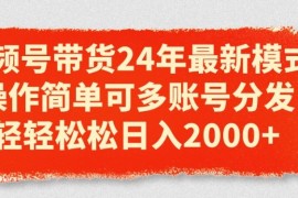 创业项目视频号带货24年最新模式，操作简单可多账号分发，轻轻松松日入2k【揭秘】，06月28日冒泡网VIP项目