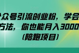 2024最新公众号引流创业粉，学会这个方法，你也能月入30000+(陪跑项目)09-13冒泡网