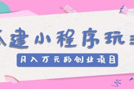 搭建小程序玩法分享，如何开启月收入万元的创业项目，06月23日福缘网VIP项目