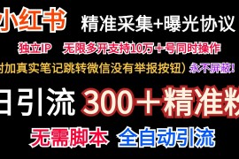 实战小红薯精准采集＋无限曝光＋真实笔记跳转微信，永不屏蔽（日引300＋精准粉）便宜07月14日福缘网VIP项目