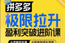 热门项目拼多多极限拉升盈利突破进阶课，​从算法到玩法，从玩法到团队搭建，体系化系统性帮助商家实现利润提升便宜07月05日冒泡网VIP项目