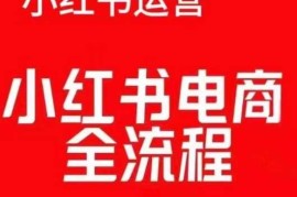 每天红薯电商实操课，小红书电商全流程12-12冒泡网