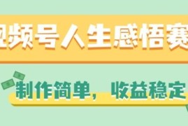 每天视频号人生感悟赛道，制作简单，收益稳定【揭秘】，06月29日冒泡网VIP项目