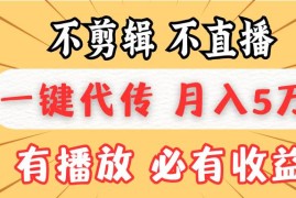 2024最新（13555期）不剪辑不直播，一键代发，月入5万懒人必备，我出视频你来发12-03中创网