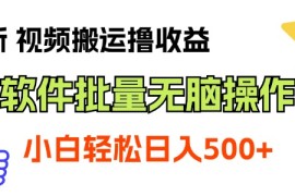 热门项目（11386期）最新视频搬运撸收益，软件无脑批量操作，新手小白轻松上手，07月02日中创网VIP项目