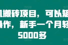 每天手机搬砖项目，可以矩阵化操作，新手一个月轻松5000多09-05冒泡网