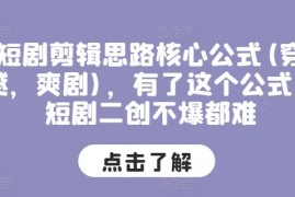 最新项目短剧剪辑思路核心公式(穿越，爽剧)，有了这个公式，短剧二创不爆都难便宜07月06日冒泡网VIP项目