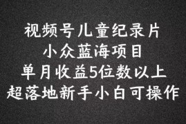 每天2024蓝海项目视频号儿童纪录片科普，单月收益5位数以上，新手小白可操作【揭秘】便宜07月29日冒泡网VIP项目