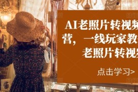 创业项目AI老照片转视频实战营，一线玩家教你AI老照片转视频便宜07月07日冒泡网VIP项目