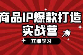 热门项目（12136期）商品-IP爆款打造实战营【第四期】，手把手教你打造商品IP，爆款不断08-14中创网