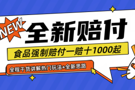 创业项目全新赔付思路糖果食品退一赔十一单1000起全程干货便宜08月08日福缘网VIP项目