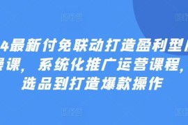 赚钱项目2024最新付免联动打造盈利型店铺实操课，​系统化推广运营课程，从选品到打造爆款操作便宜07月06日冒泡网VIP项目