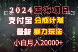 创业项目（12339期）2024蓝海项目，支付宝分成计划，暴力玩法，刷爆播放量，小白月入20000+08-27中创网