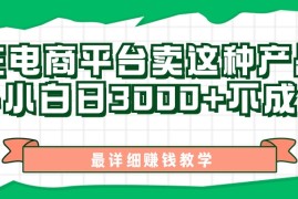 （11206期）最新在电商平台发布这种产品，新手小白日入3000+不成问题，最详细赚钱教学，06月23日中创网VIP项目