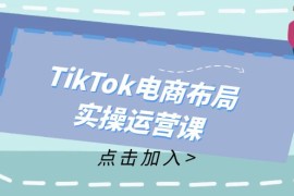 每天（12156期）TikTok电商布局实操运营课：从新手到精通，成为TikTok带货运营高手08-15中创网