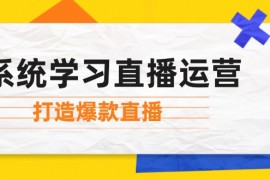 每天（12802期）系统学习直播运营：掌握起号方法、主播能力、小店随心推，打造爆款直播10-01