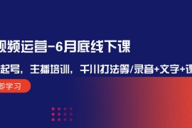 热门项目短视频运营6月底线下课：单品起号，主播培训，千川打法等/录音+文字+课件08-13福缘网