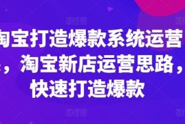 最新项目淘宝打造爆款系统运营课，淘宝新店运营思路，快速打造爆款，06月28日冒泡网VIP项目