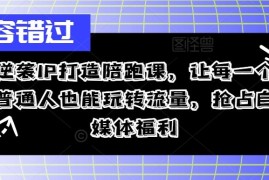 简单项目逆袭IP打造陪跑课，让每一个普通人也能玩转流量，抢占自媒体福利09-07冒泡网