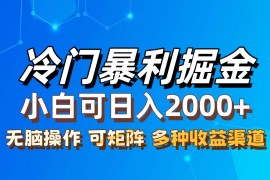 实战（12440期）最新冷门蓝海项目，无脑搬运，小白可轻松上手，多种变现方式，一天十几&#8230;09-03中创网