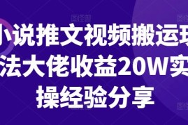 最新项目小说推文视频搬运玩法大佬收益20W实操经验分享冒泡网