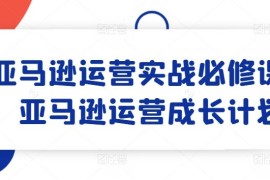 每天亚马逊运营实战必修课，亚马逊运营成长计划便宜07月18日冒泡网VIP项目