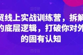 外贸线上实战训练营，拆解外贸的底层逻辑结盟抖音号运营