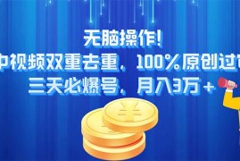 每日（11353期）无脑操作!中视频双重去重，100%原创过审，三天必爆号，月入3万+，07月01日中创网VIP项目