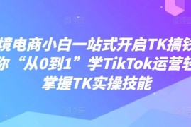 实战跨境电商小白一站式开启TK搞钱，教你“从0到1”学TikTok运营轻松掌握TK实操技能08-24冒泡网