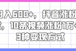 创业项目日入600+，抖音涨粉技术，10条视频涨粉1万+，3种变现方式【揭秘】便宜08月01日冒泡网VIP项目