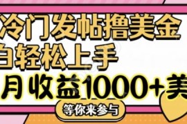 创业项目冷门发帖撸美金项目，月收益1000+美金，简单无脑，干就完了【揭秘】便宜08月06日冒泡网VIP项目