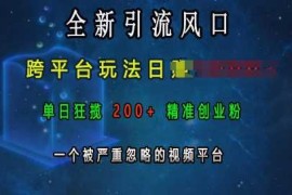 2024最新全新引流风口，跨平台玩法日入上k，单日狂揽200+精准创业粉，一个被严重忽略的视频平台12-11冒泡网