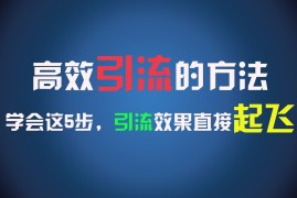 热门项目高效引流的方法，可以帮助你日引300+创业粉，一年轻松收入30万，比打工强太多！便宜07月24日福缘网VIP项目