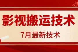 赚钱项目7月29日最新影视搬运技术，各种破百万播放便宜07月29日冒泡网VIP项目