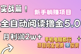 实战（11578期）小说全自动阅读撸金5.0操作简单可批量操作零门槛！小白无脑上手月入2w+便宜07月12日中创网VIP项目